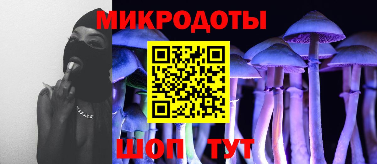 Карабулак  Псилоцибиновые грибы прущие грибы  Вход с VPN 
